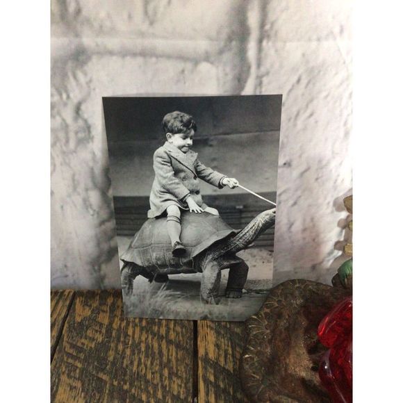 Reprint Photo Odd Bizzare Boy Riding Turtle Reprint Vintage - Picture 5 of 10